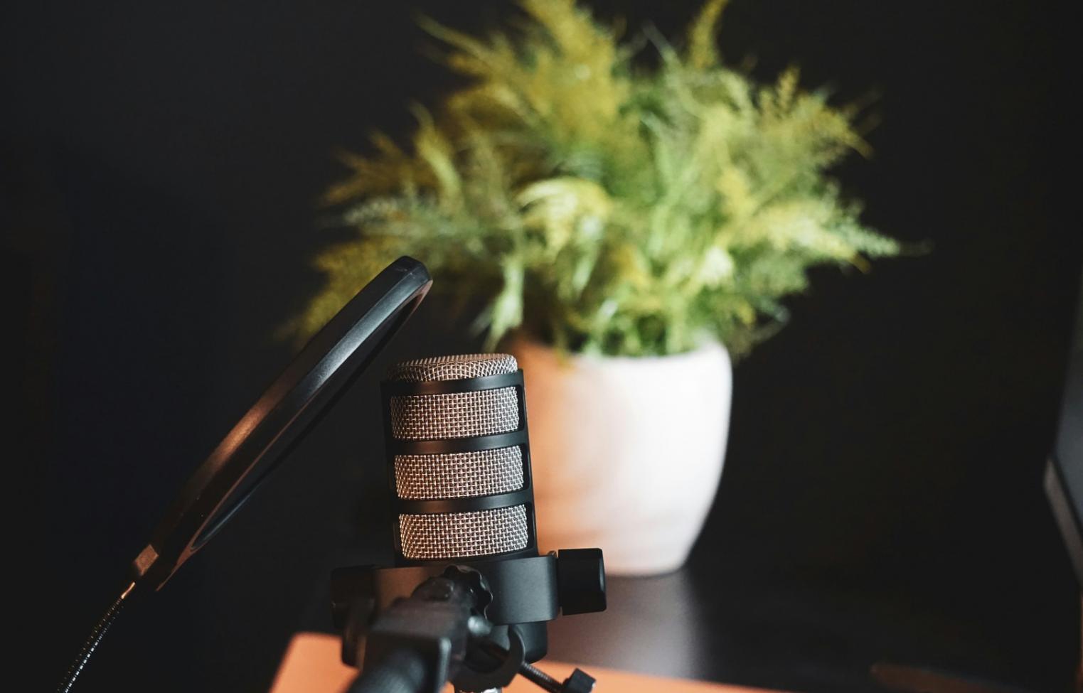 Studenci dziennikarstwa podczas pracy z materiałami historycznymi